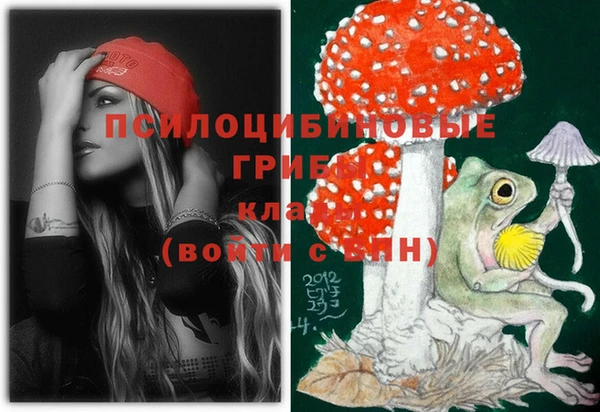 ПСИЛОЦИБИНОВЫЕ ГРИБЫ Наволоки