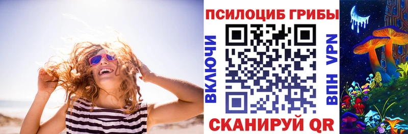 Псилоцибиновые грибы Psilocybine cubensis  Уссурийск 